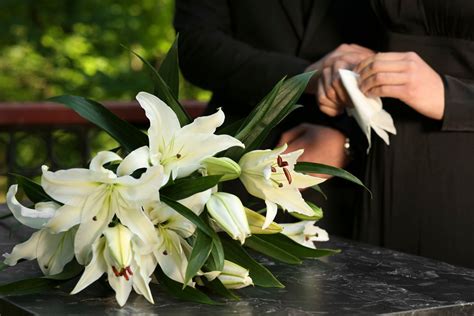 Simple Traditions Cremation and Burial Services,