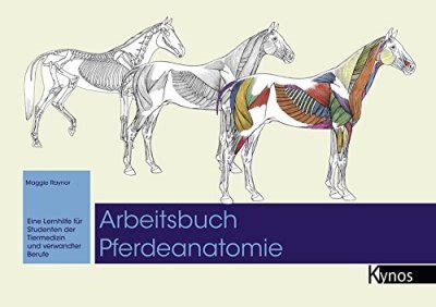 Abc des pferdes ein handbuch zur biomechanik der pferdeanatomie. - Oxford handbook of positive psychology free download.