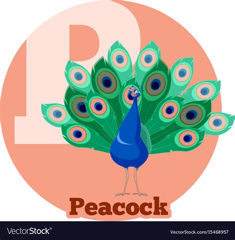 Abc on peacock. ABC is one of the most popular networks in the United States, offering a wide variety of programming from news, sports, and entertainment. With the rise of streaming services, it’s... 