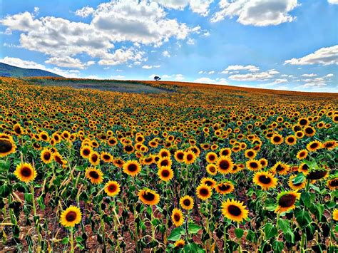 Abdullah Furkan Acir #Hip "Kaybolmak istemiştim bir zamanlar. 