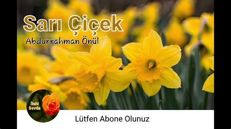 Abdurrahman Önül Sarı Çiçek ilahi Şarkı Sözleri. 