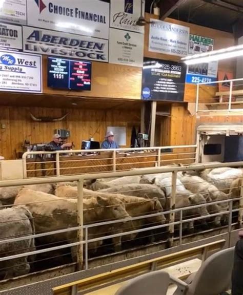 Aberdeen livestock auction. Since 2002, Aberdeen Livestock has been operating on the principles of honesty & integrity. Our stockyards have a 6,000 head capacity. 38458 133rd St. Aberdeen, SD 