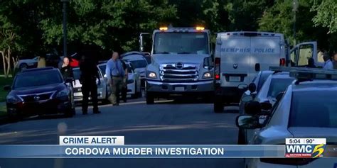 CORDOVA — Investigators say a man and a woman were found dead at a Cordova residence after what they are calling a murder-suicide.. 