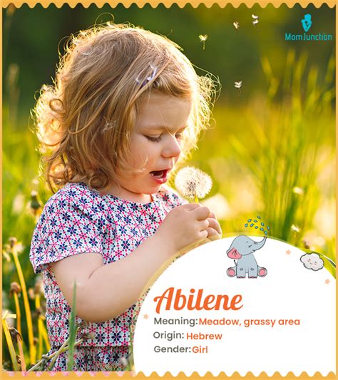 Abilene: Name Meaning, Popularity and Info on BabyNames.com