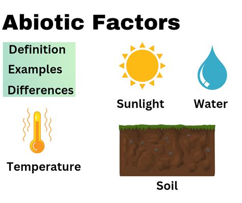 Abiotic Factors- Definition, Types, Examples plus Responses