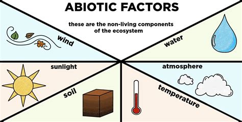 Abiotic factors examples. Things To Know About Abiotic factors examples. 