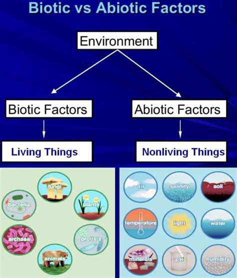 Abiotic vs biotic. Things To Know About Abiotic vs biotic. 