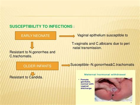 Abnormal vaginal discharge icd 10. Things To Know About Abnormal vaginal discharge icd 10. 