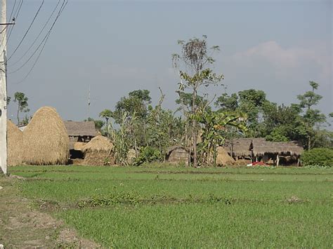 About: Terai