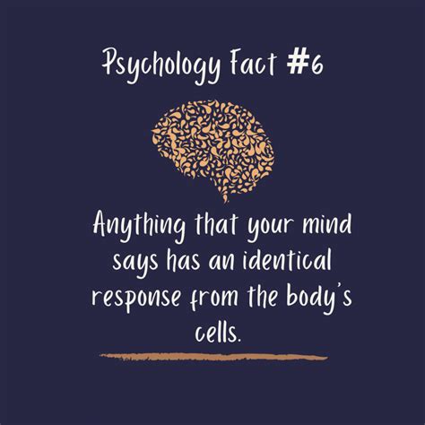 About – TDPsychology