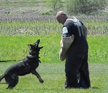 About - Landheim K9 Training & Boarding