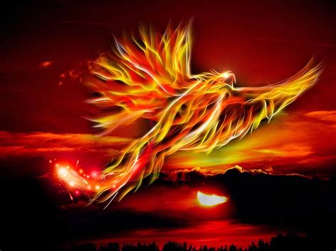 About - PhoenixRising