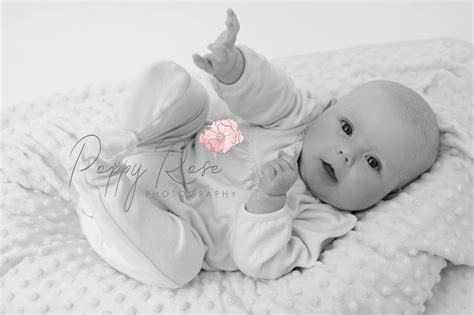 About - poppyrosephotography.com