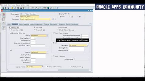 About Auto Numbering of Item Numbers in Oracle Item Master