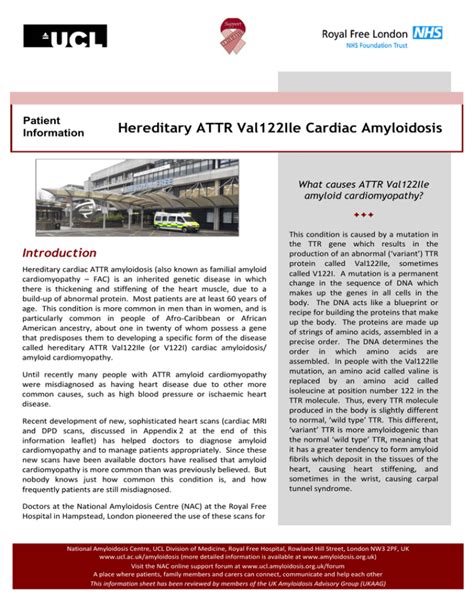 About Cardiac Amyloidosis - Amyloidosis Patient Information ...