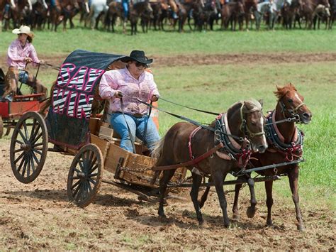 About Chuckwagon Racing - Topend Sports