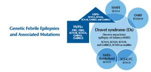 About Dravet Syndrome Epilepsy Treatment Intractable Childhood Epilepsy