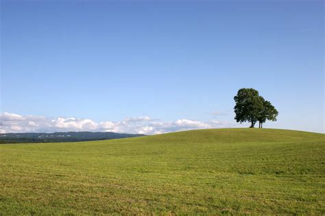 About Green Meadow Landscapes