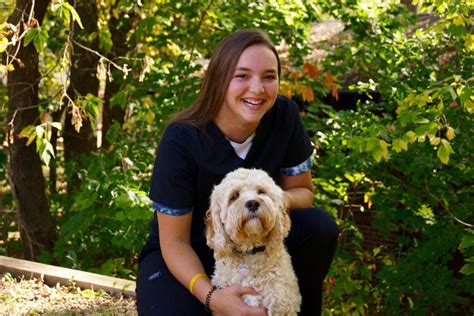 About Our Veterinary Hospital in Minnetonka Glen Lake Animal Hospital ...