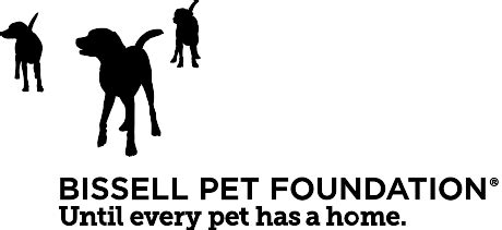 About Pet Project Foundation A Pro-humane Approach