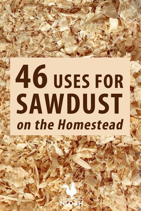 About Sawdust