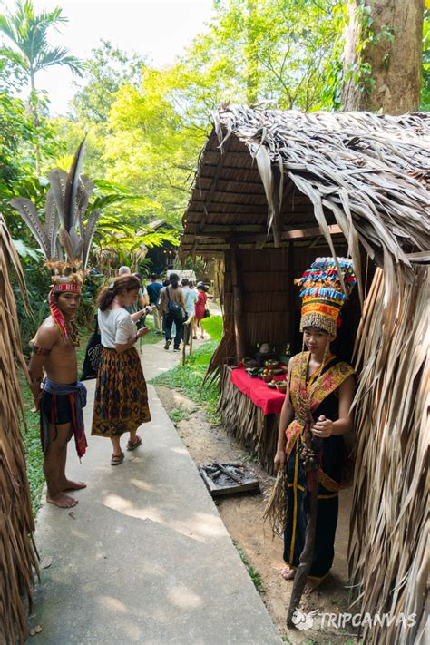 About The Tribe – Mari Mari Cultural Village