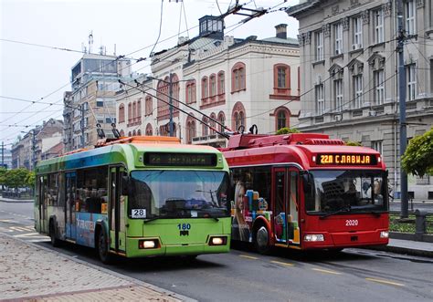 About Transport in Belgrade