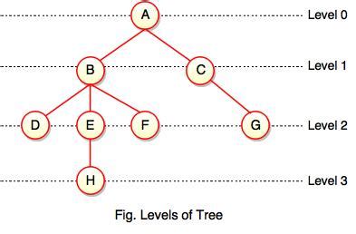 About Trees Level P
