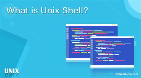 About Unix Shell