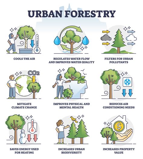 About Urban Forestry