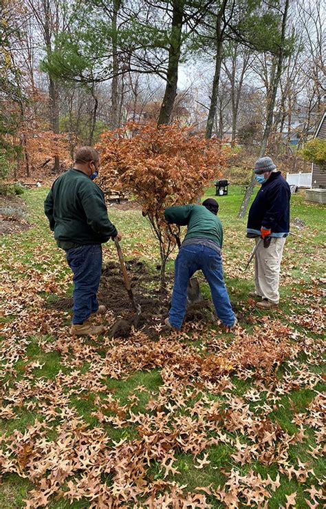 About Us - Rosedale Nurseries