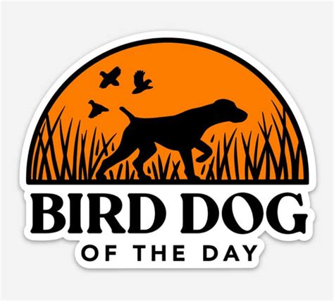 About Us Bird Dog of the Day