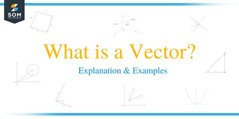 About Vectors