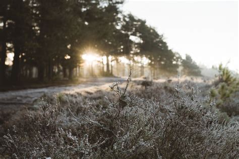 About the Residential Program - Nedley Health