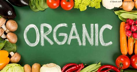 About us - Only Organic