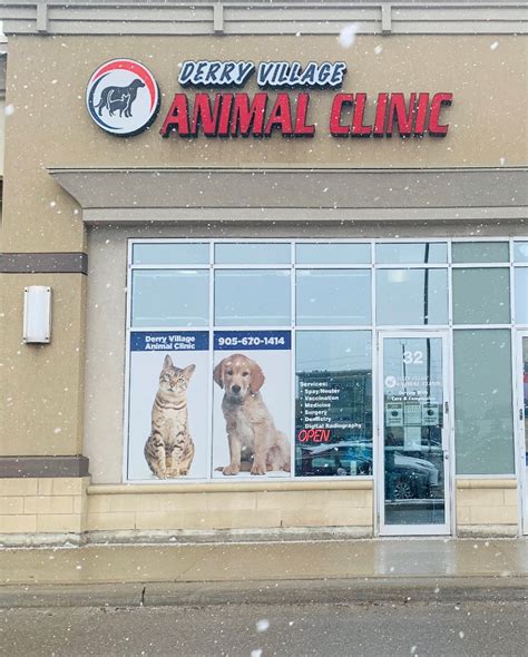 About us Village Animal Hospital