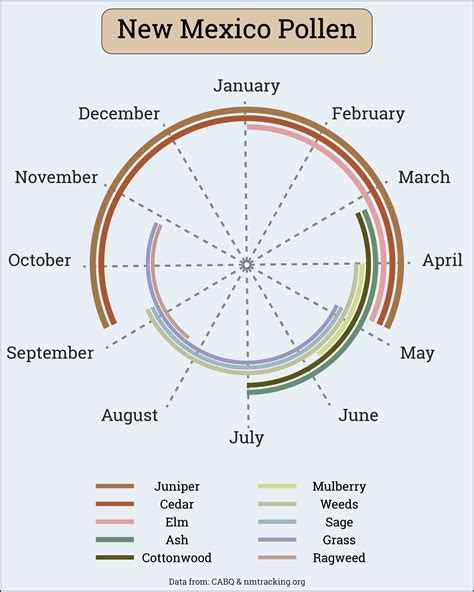 2.3 Pollen data. Albuquerque's pollen season lasts from March 1 through October 1. This is based on information from the City of Albuquerque Air Quality Bureau. The data comes in the form of a time series that was transformed into the annual pollen integral (APIn). ... Although 2020 was an unusual year, our model predicts that the pollen counts .... 