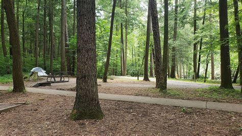 Abrams Creek Campground - Great Smoky Mountains National Park …