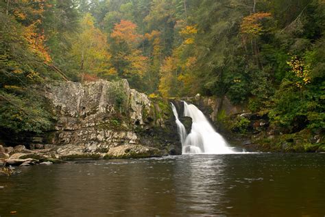 Abrams falls trail. Things To Know About Abrams falls trail. 