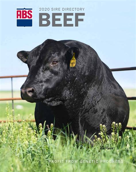 Abs global beef. Things To Know About Abs global beef. 