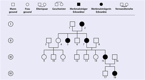 Abschnitt 4 studienleitfaden für humangenetik und stammbäume b. - Konica minolta dimage x1 manual download.