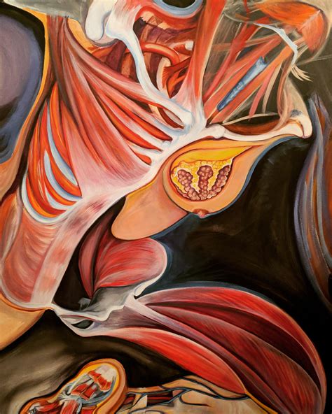 Abstract: Anatomy serves as the