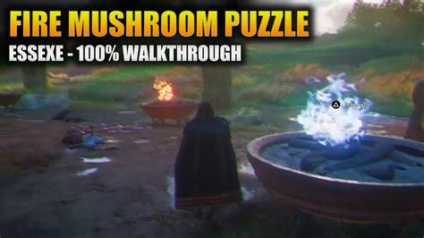 Related: AC Valhalla Mushroom Fire Guide: How to Solve the Puzzle. AC Valhalla Build: Twin Fangs - Dual Dagger Vampire. With some of the best synergy in the game, The Dual-Dagger Vampire build uses the perfectly coinciding passives of Kopis and Hundoth to deal massive DPS alongside a correspondingly immense amount of life-steal.. 