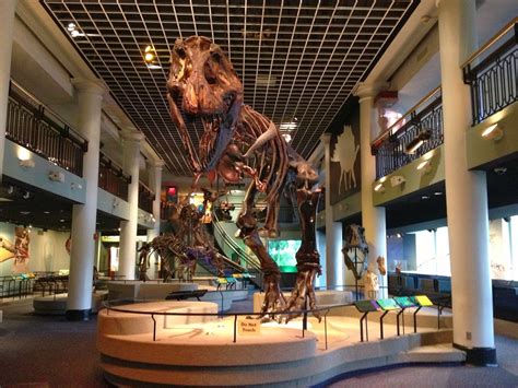 Academy of natural science. ©2018 The Academy of Natural Sciences of Drexel University | 1900 Benjamin Franklin Parkway, Philadelphia, PA 19103 Phone: (215) 299-1000 ... 