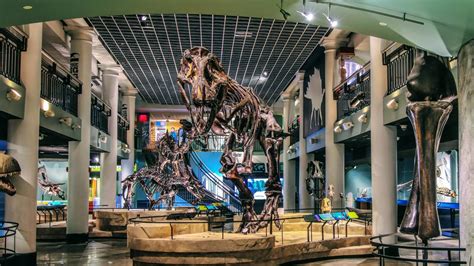 Academy of natural sciences philadelphia. Saturday, March 16, 2024. 7 p.m.–9 a.m.; check-in begins at 6:30 p.m. Experience the Academy’s towering dinosaurs — including T. rex — after dark! Your action-packed night at the museum barely leaves room for shut-eye. Sleep next to roaring lions, stalking tigers or ancient dinosaurs. 