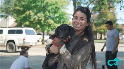 Acadiana animal aid. Acadiana Animal Aid, Carencro, Louisiana. 31,046 likes · 1,110 talking about this · 1,563 were here. Acadiana Animal Aid is an animal welfare... Acadiana Animal Aid is an animal welfare organization that is leading the way in inspiring a healthy 