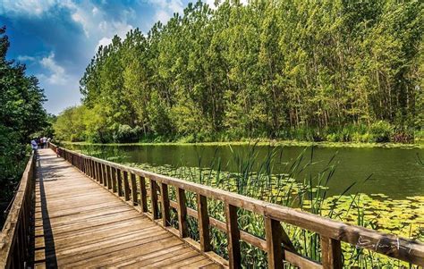 Acarlar Halı ve Koltuk Yıkama