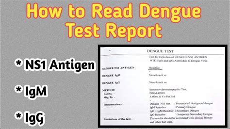 Acc Report on Dengue Prev