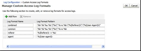 Access log format.  It will consequently be necessary to periodically rotate the log...