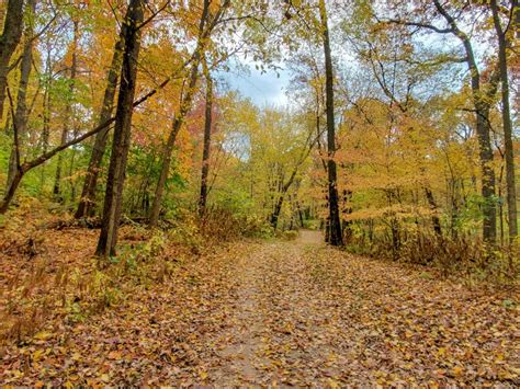 Accessibility projects to begin this fall at William O’Brien State Park; open house Thursday
